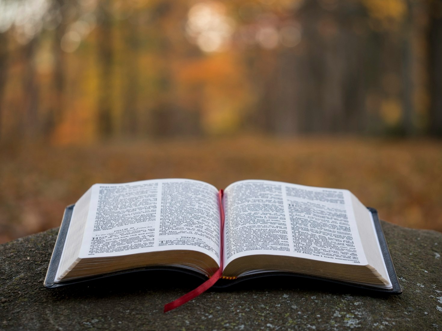 5 Ways the Gospel Can Transform Your Life